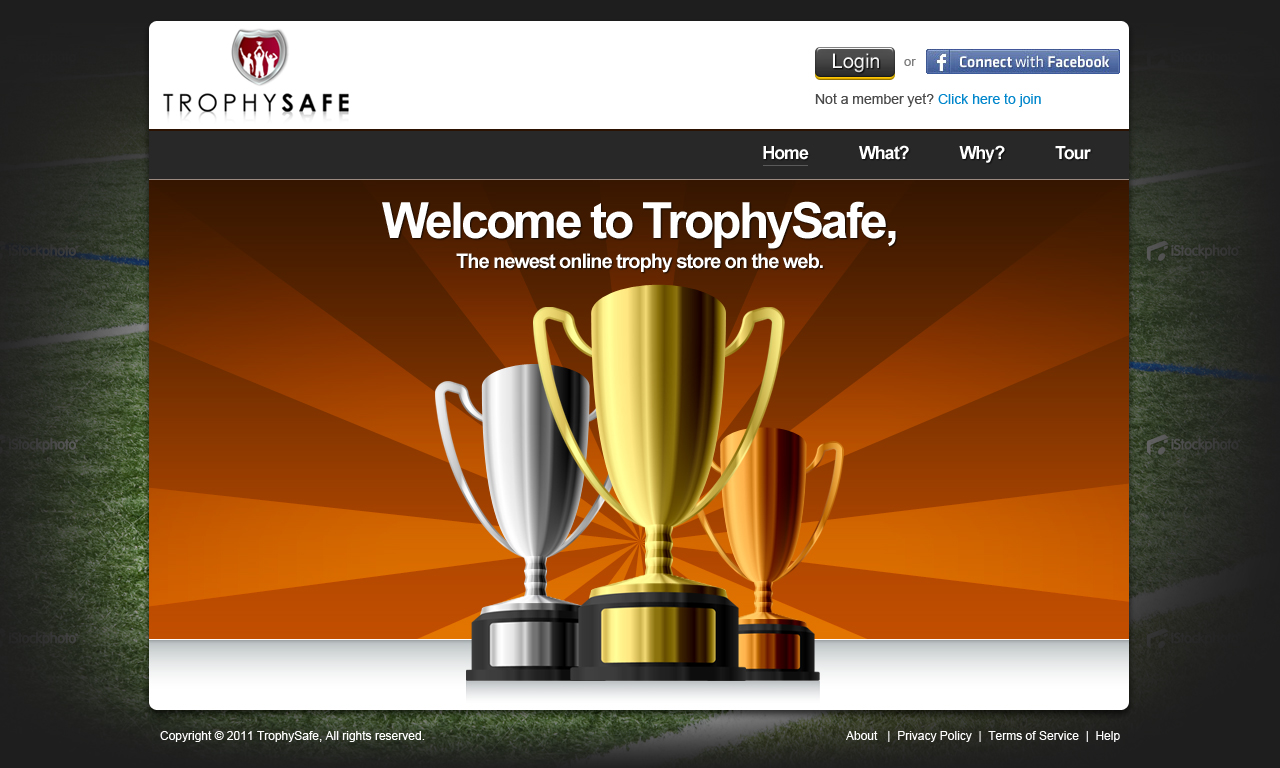 Web Design by Mayank Patel for this project | Design #371389
