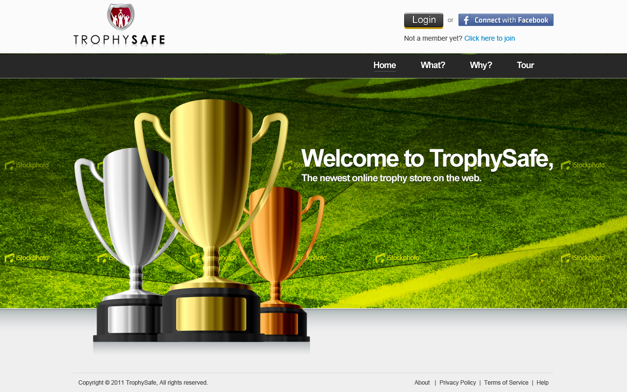 Web Design by Mayank Patel for this project | Design #377554