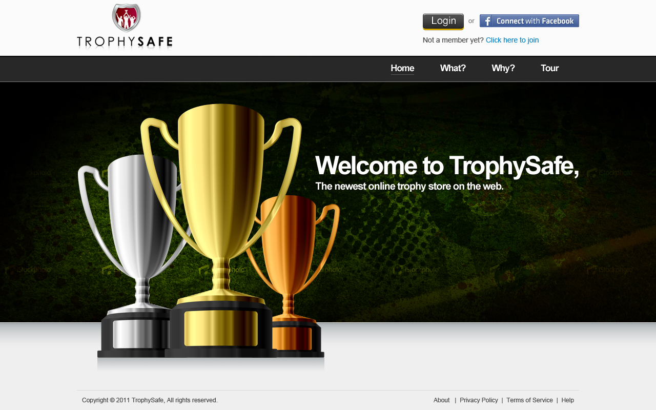 Web Design by Mayank Patel for this project | Design #377562