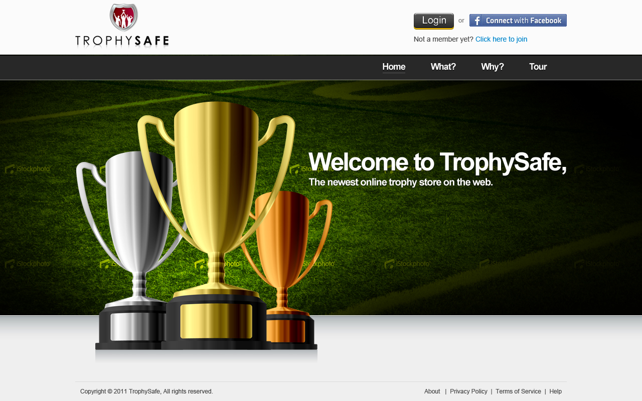 Web Design by Mayank Patel for this project | Design #377569