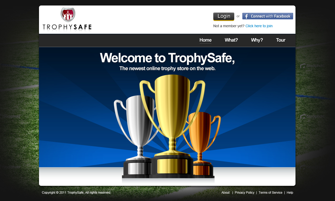 Web Design by Mayank Patel for this project | Design #377571