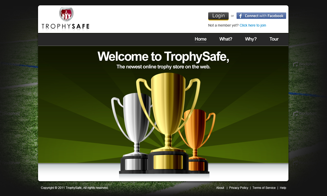 Web Design by Mayank Patel for this project | Design #377581