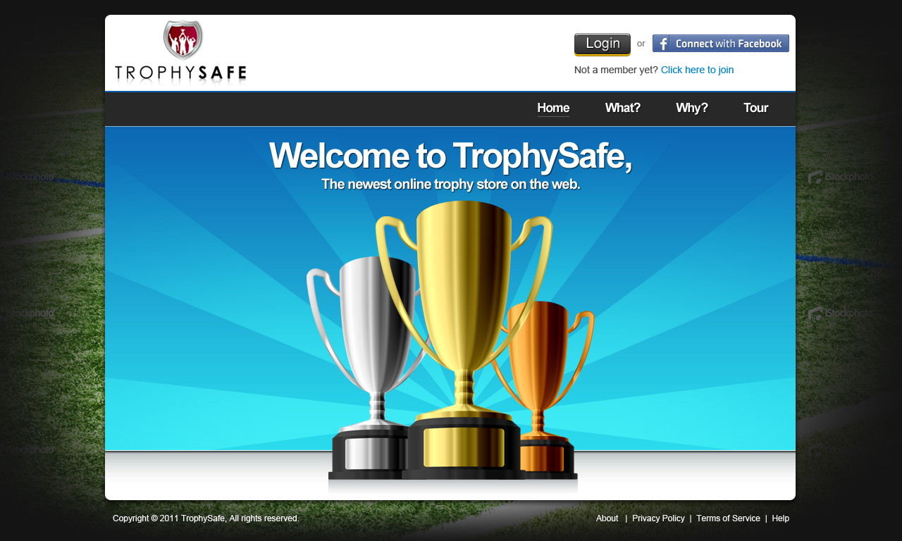 Web Design by Mayank Patel for this project | Design #377586