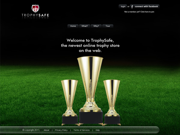 Web Design by jsinfoway for this project | Design #369799