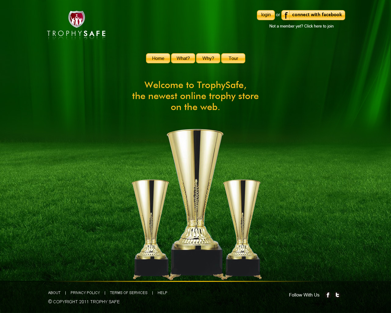 Web Design by jsinfoway for this project | Design #374473