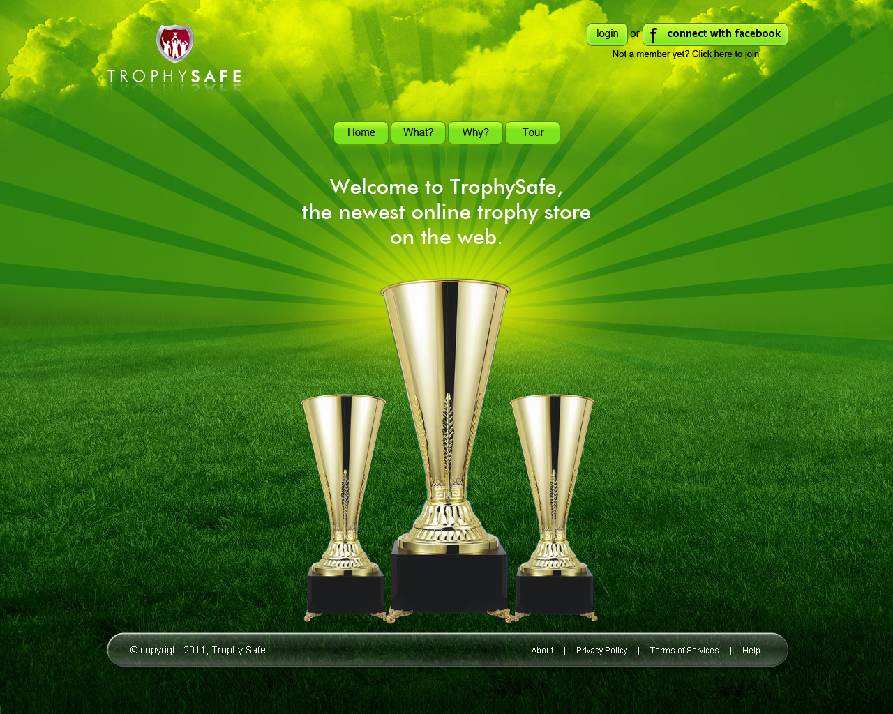 Web Design by jsinfoway for this project | Design #374476
