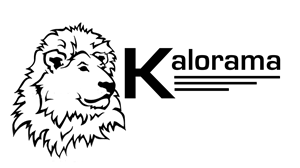 Logo Design by Brokenrecordsdesign
