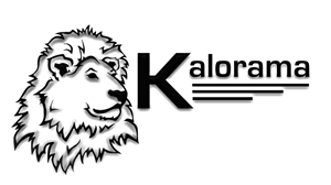 Design de Logo par Brokenrecordsdesign pour ce projet | Design : #367325