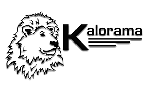 Design de Logo par Brokenrecordsdesign pour ce projet | Design : #367328