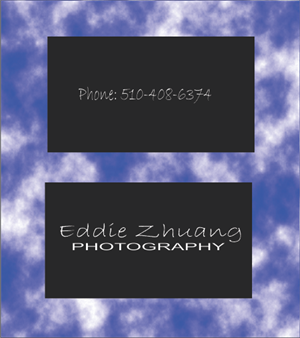 Business Card Design by THE GURU