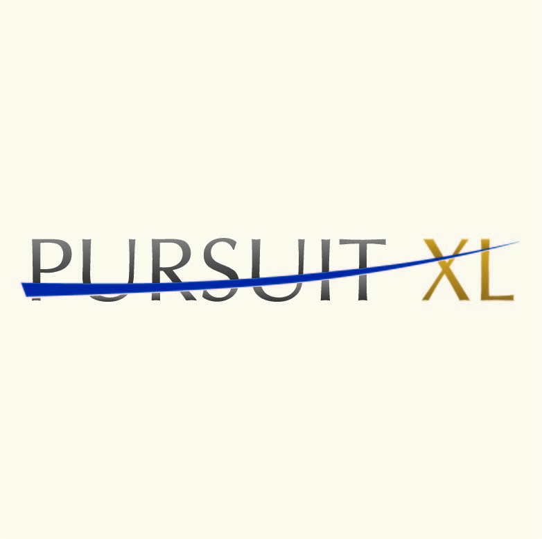 Logo Design by Design Possibilities for Pursuit LLC | Design #374124