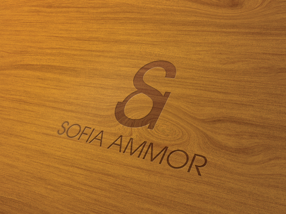 Logo Design by Visualland for this project | Design #1799327