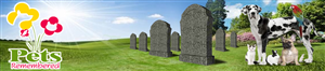 Banner-Design von DesignXyz für dieses Projekt | Design: #381022