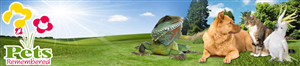 Banner-Design von DesignXyz für dieses Projekt | Design: #387246