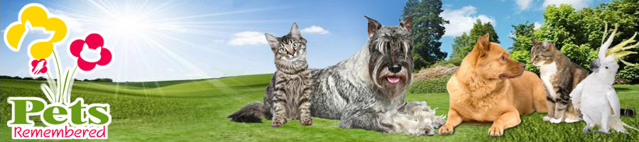 Banner-Design von DesignXyz für dieses Projekt | Design: #390657