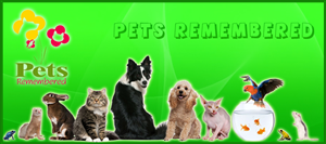 Banner-Design von susi007 für dieses Projekt | Design #372108