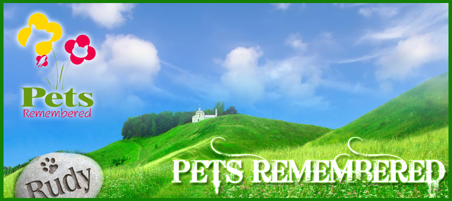 Banner Ad Design by susi007 for this project | Design #379735