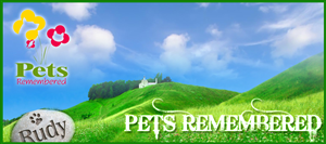 Banner-Design von susi007 für dieses Projekt | Design: #379735