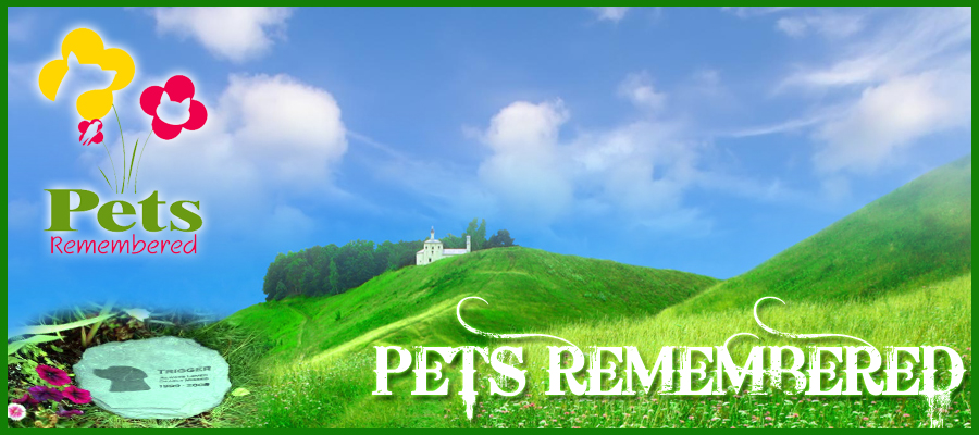 Diseño De Banner Publicitario por susi007 para este proyecto | Diseño #379737