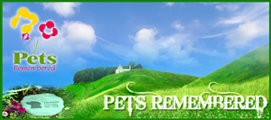 Banner-Design von susi007 für dieses Projekt | Design: #379737