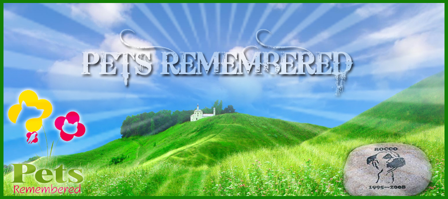 Banner Ad Design by susi007 for this project | Design #379751