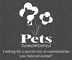 Banner Ad Design by Robocker Made for this project | Design #368397