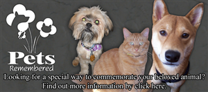 Pet memorial | Banner-Design von Robocker Made
