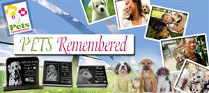 Pet memorial | Banner-Design von DesigNart