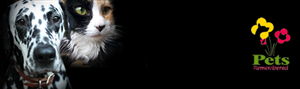 Banner-Design von Elaine at Miloe Graphics für dieses Projekt | Design #366226