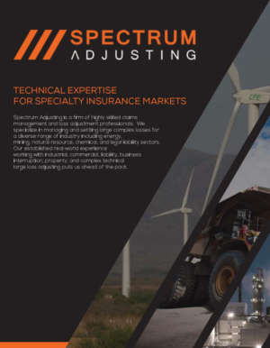 Corporate Brochure for Exclusive Consultant Firm