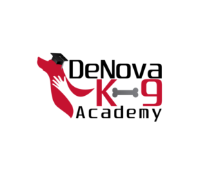 Logo Design by blue eye