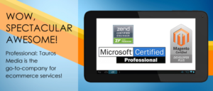 Banner Ad Design by Anooshaa for Tauros Media | Design: #7079263