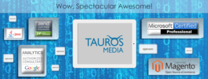 Banner Ad Design by Anooshaa for Tauros Media | Design: #7091908