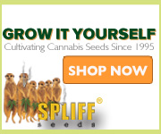 Banner Ad Design by jessimmons