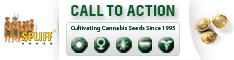 Banner Ad Design by SLK for this project | Design: #6997929