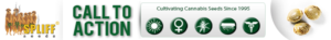 Banner Ad Design by SLK