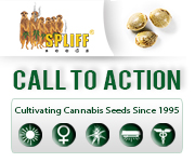 Banner Ad Design by SLK for this project | Design: #6997932