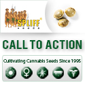 Banner Ad Design by SLK for this project | Design: #6997933
