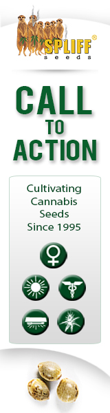 Banner Ad Design by SLK for this project | Design: #6997936
