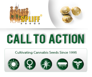 Banner Ad Design by SLK for this project | Design: #6997937