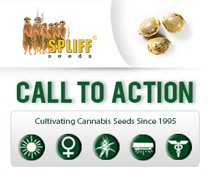 Banner Ad Design by SLK for this project | Design: #6997938
