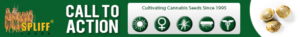 Banner Ad Design by SLK for this project | Design: #7008001