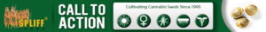 Banner Ad Design by SLK for this project | Design: #7008039