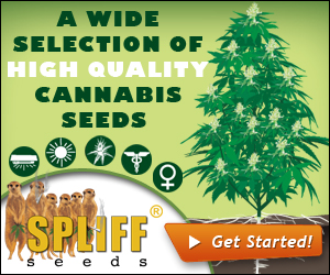 Banner Ad Design by neboica for this project | Design: #7110258