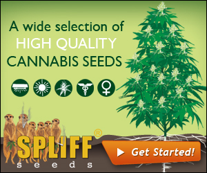 Banner Ad Design by neboica for this project | Design: #7112700