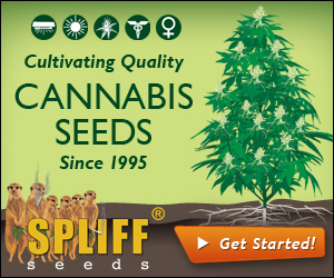 Banner Ad Design by neboica for this project | Design: #7113313