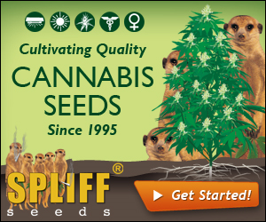 Banner Ad Design by neboica for this project | Design: #7113414
