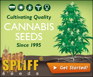 Banner Ad Design by neboica for this project | Design: #7139219