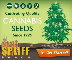 Banner Ad Design by neboica for this project | Design: #7139220