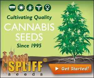 Banner Ad Design by neboica for this project | Design: #7149124